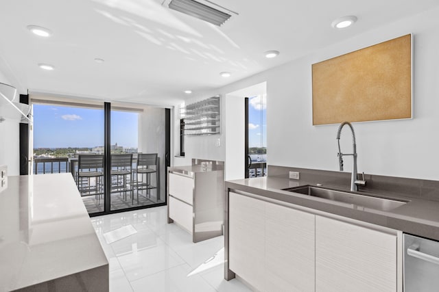 kitchen with stainless steel dishwasher and sink