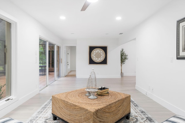 sitting room featuring light wood-type flooring