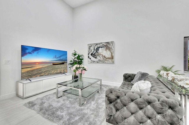 living room with light wood-type flooring