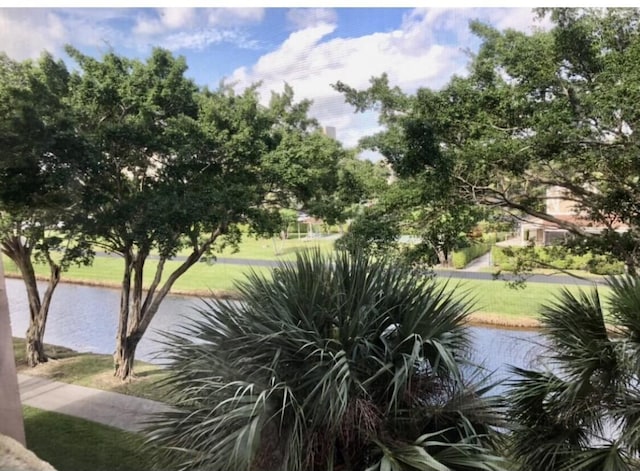 property view of water