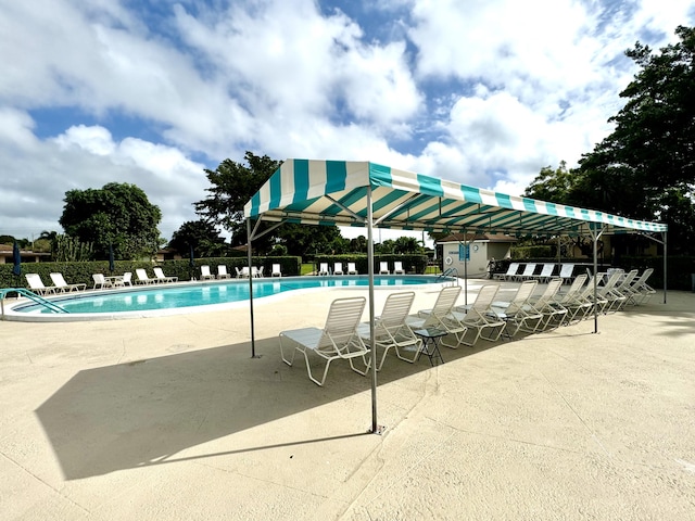 view of pool featuring a patio area