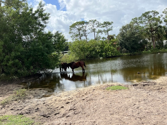 property view of water