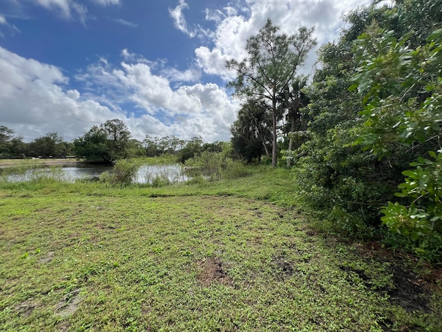 view of yard with a water view