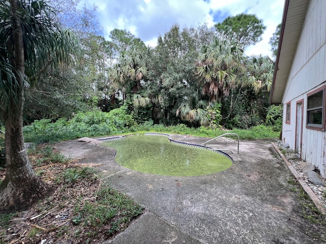 view of yard with a patio area and a swimming pool