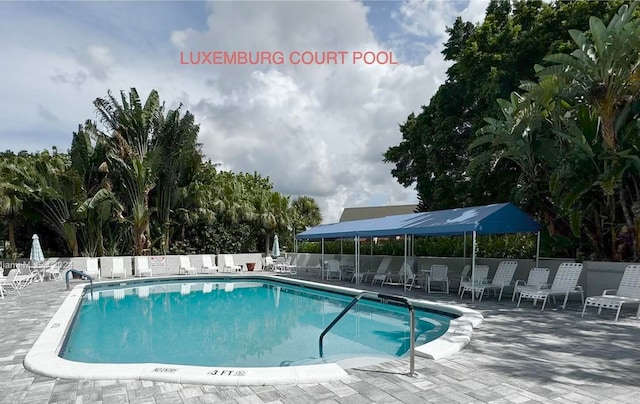 view of swimming pool featuring a patio