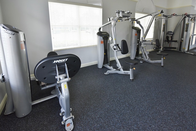 exercise room featuring plenty of natural light