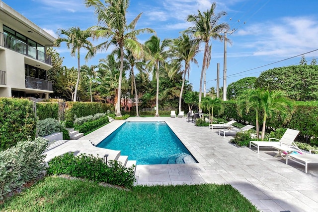 view of pool featuring a patio