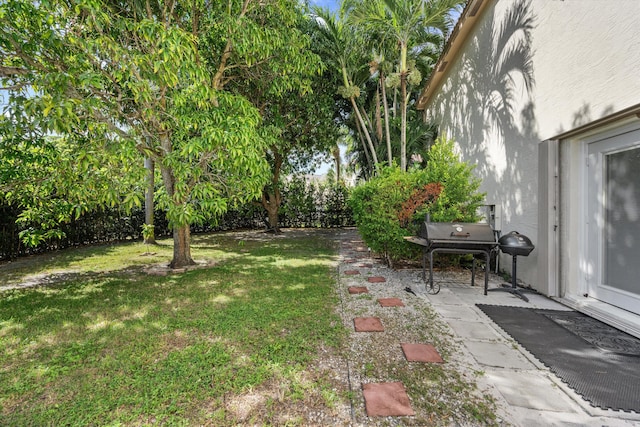 view of yard featuring a patio