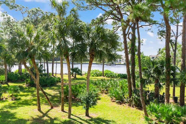 view of yard with a water view