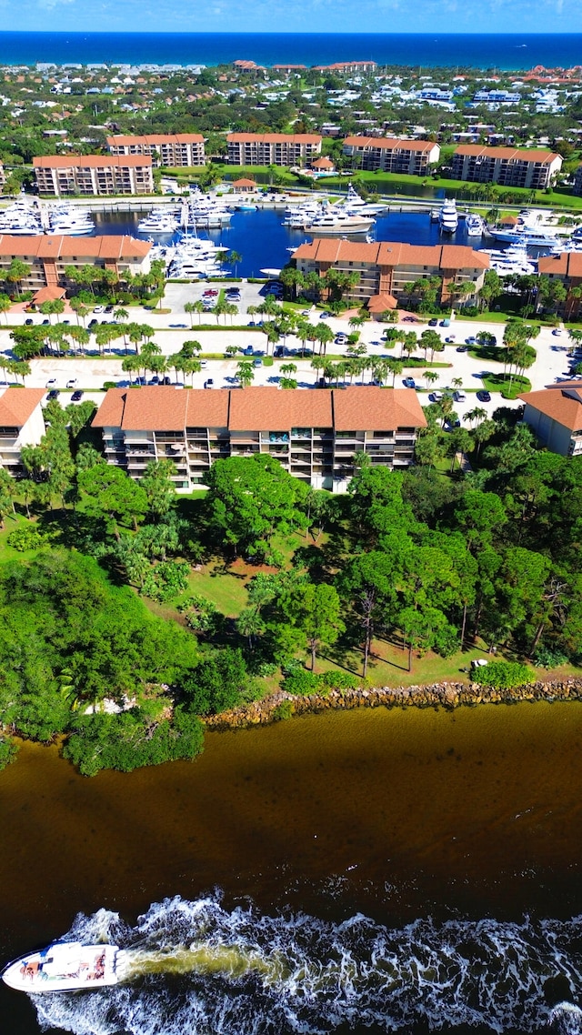 aerial view with a water view