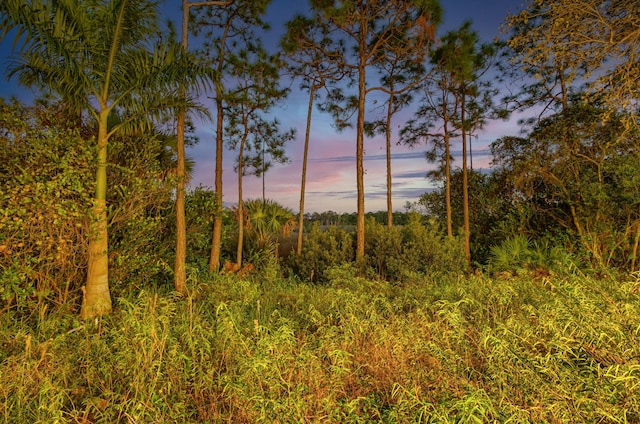 view of nature at dusk