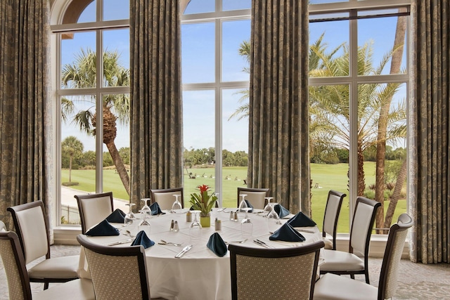 carpeted dining area featuring a wealth of natural light