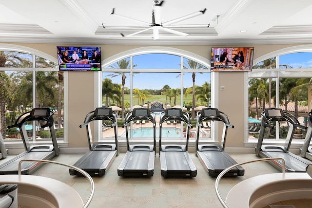 workout area featuring a raised ceiling, an inviting chandelier, plenty of natural light, and ornamental molding