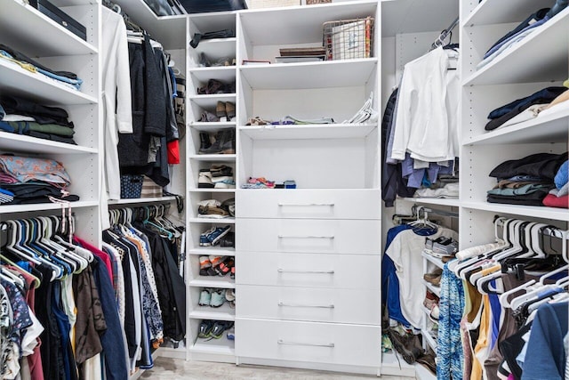 view of spacious closet