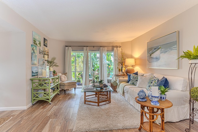 living room featuring hardwood / wood-style floors