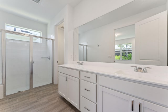 bathroom with vanity and walk in shower