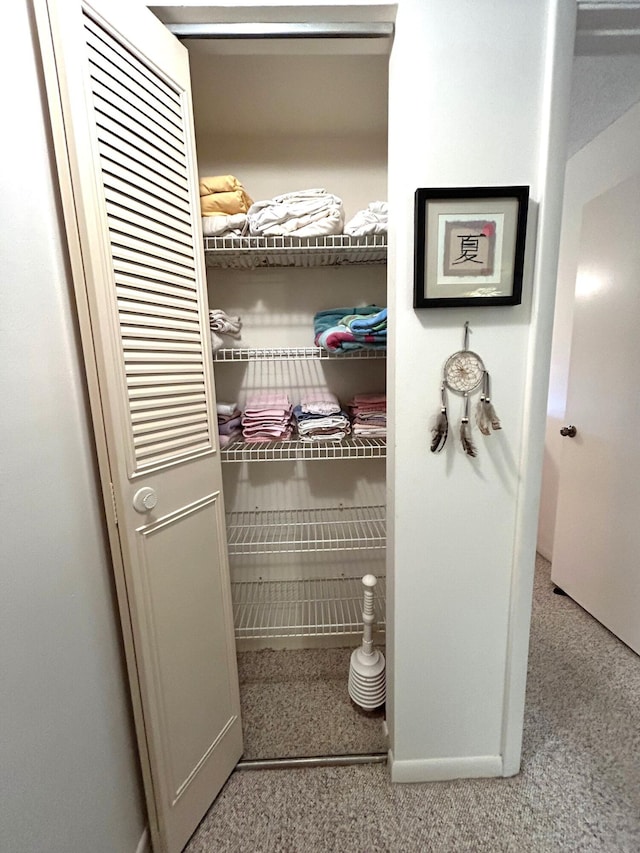 view of closet