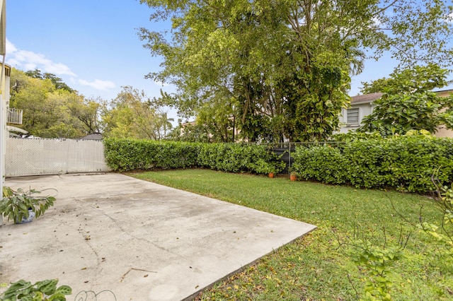 view of yard featuring a patio area