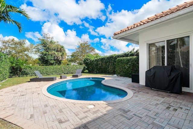 view of swimming pool with area for grilling and a patio area