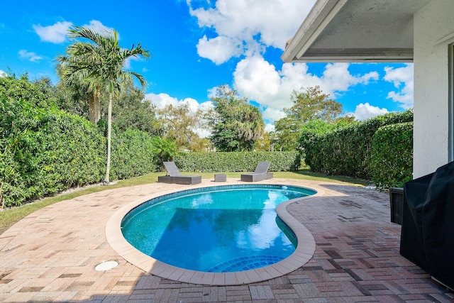 view of pool with a patio