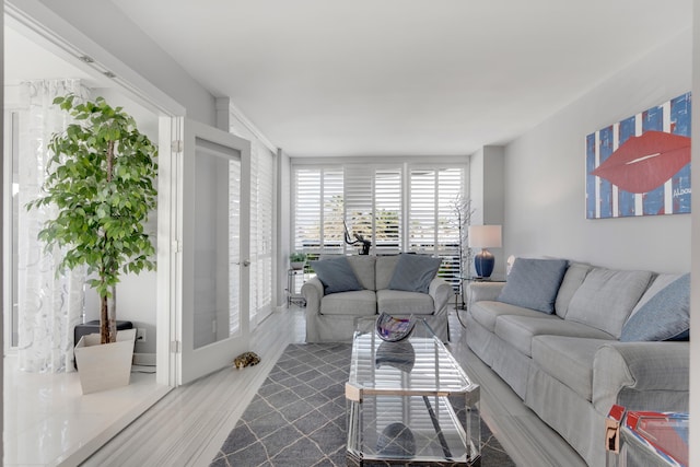 living room featuring hardwood / wood-style floors