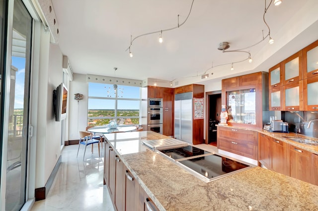 kitchen with light stone countertops, sink, and built in appliances