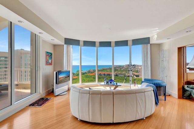 living room with a healthy amount of sunlight and light hardwood / wood-style flooring