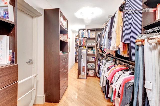 spacious closet with light hardwood / wood-style flooring