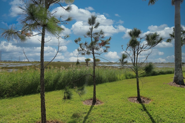 view of yard with a water view and a rural view