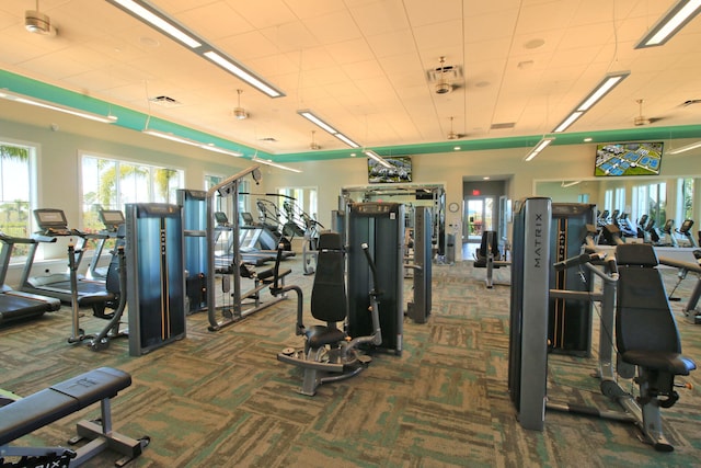 workout area featuring carpet