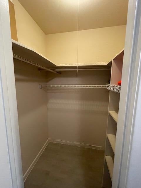 view of walk in closet