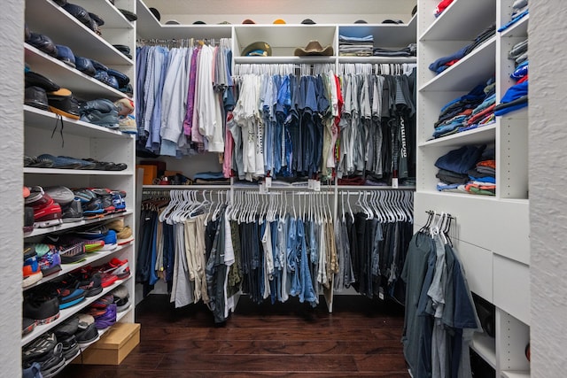 spacious closet featuring wood-type flooring