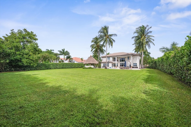 view of yard with a patio