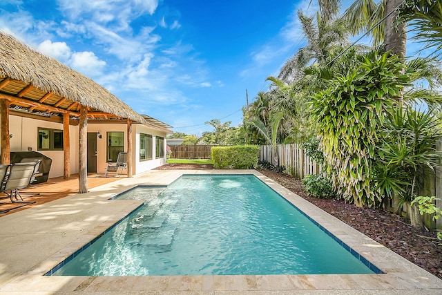 view of swimming pool with a patio area