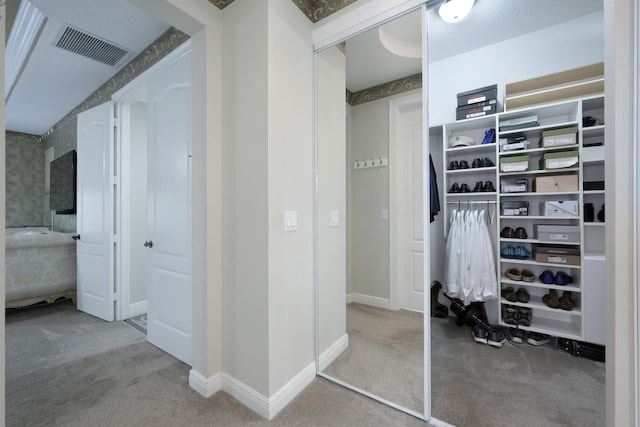 view of closet