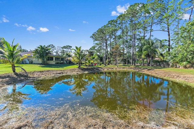 view of water feature