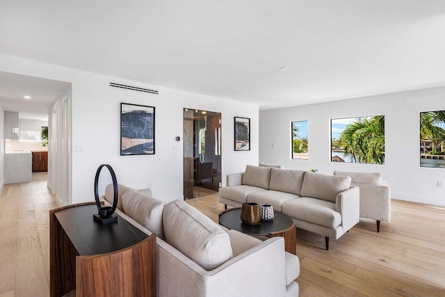 living room featuring light hardwood / wood-style flooring