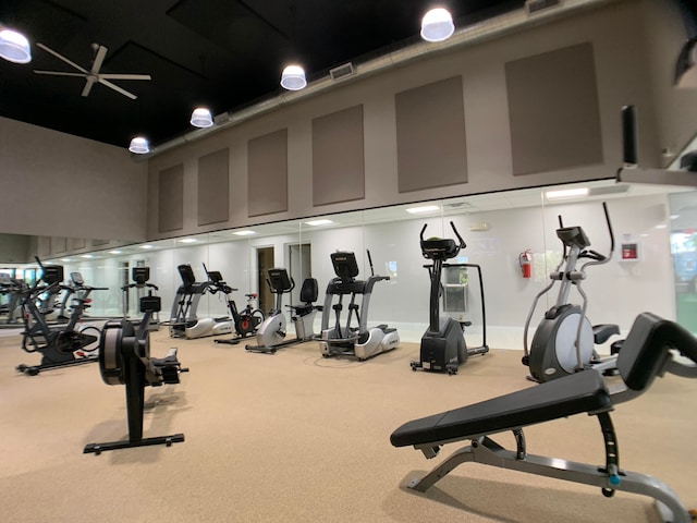 workout area featuring carpet flooring