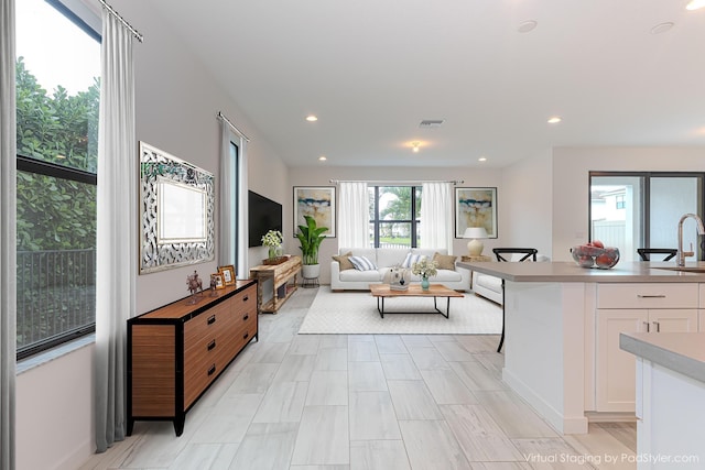 living room featuring sink