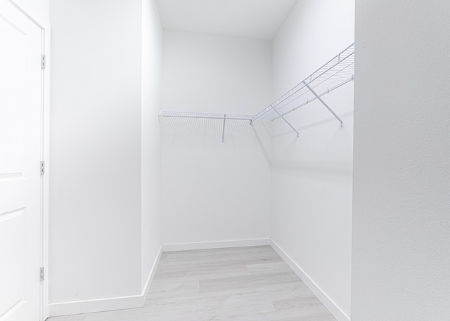 spacious closet with light wood-type flooring