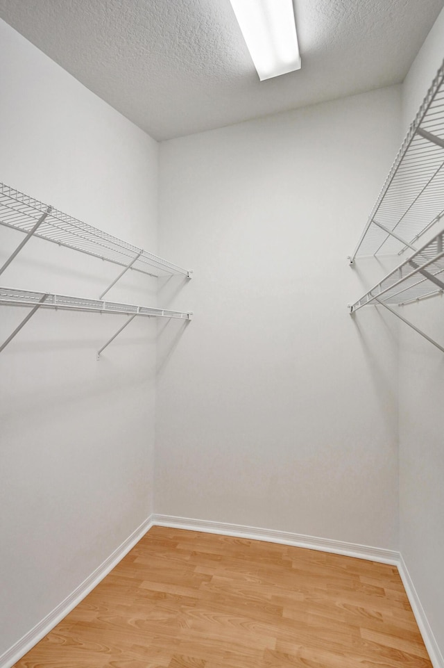 spacious closet with light wood-type flooring