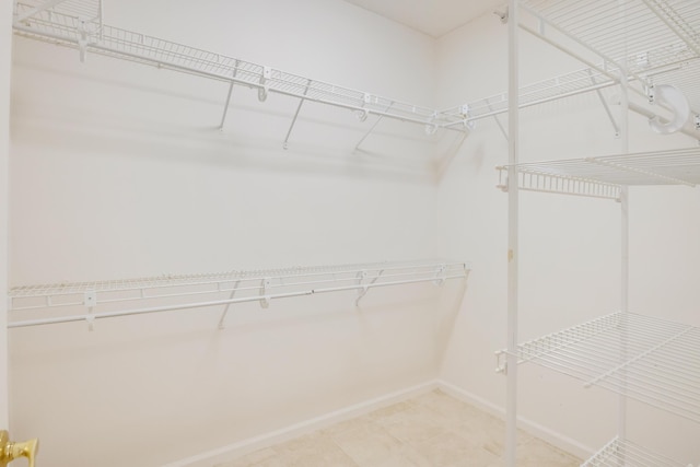 view of walk in closet