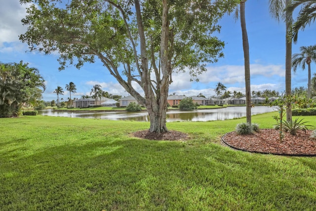 view of yard with a water view