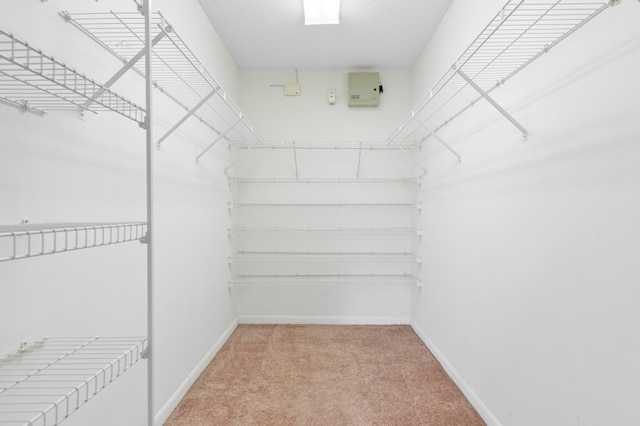 walk in closet with carpet