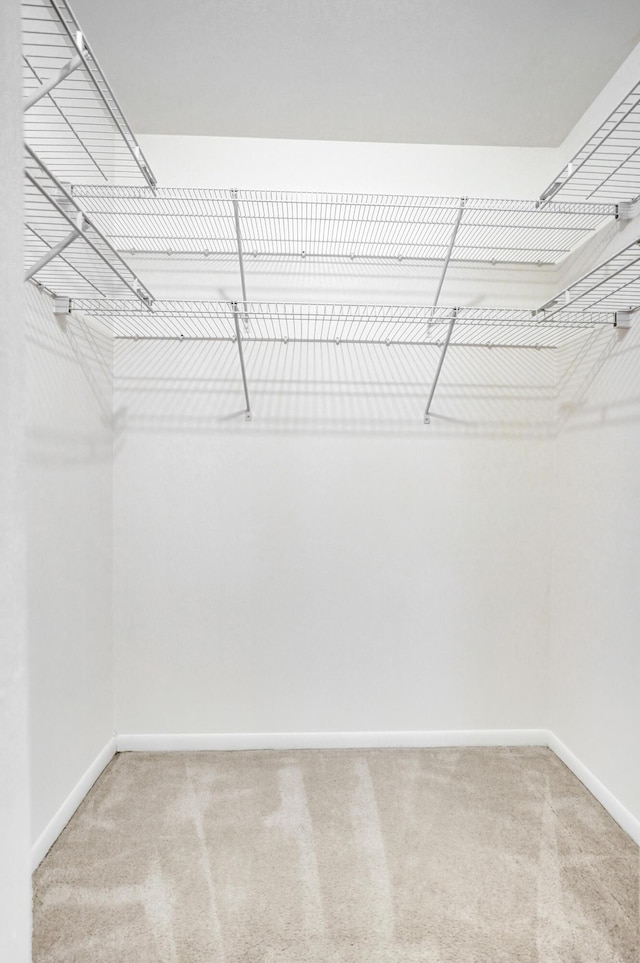 1260 NW 20th Ave Unit 203, Delray Beach, FL 33445 - spacious closet with carpet