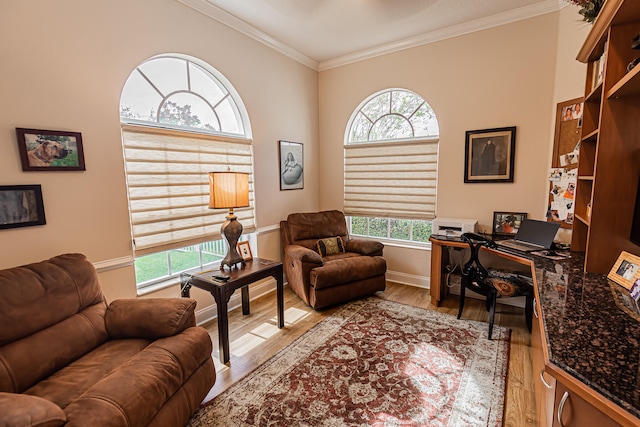 office featuring ornamental molding and light wood-type flooring