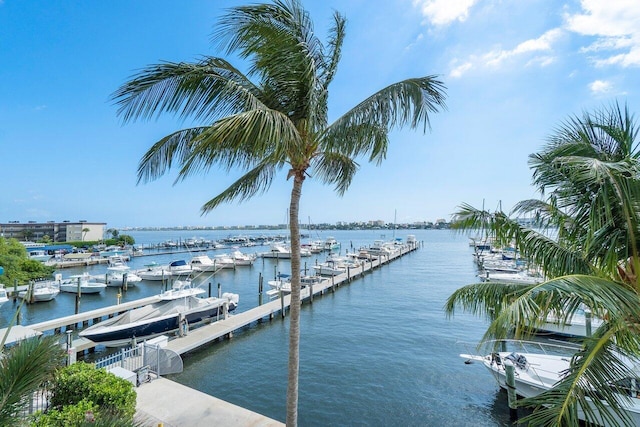 dock area with a water view