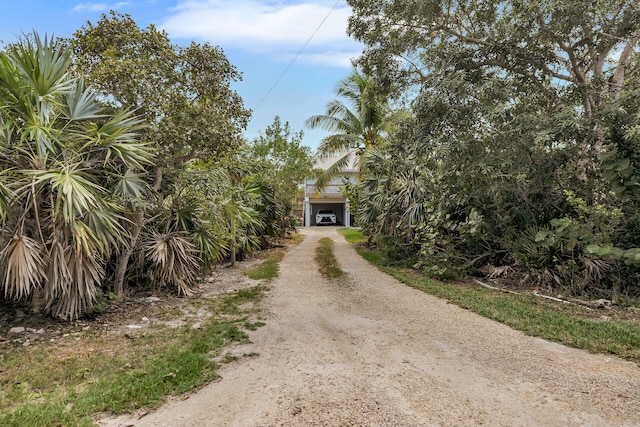 view of road with driveway