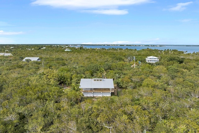 bird's eye view with a water view and a wooded view