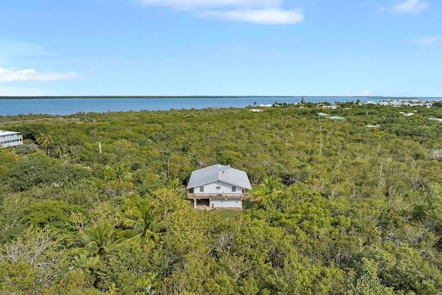 bird's eye view with a water view and a forest view